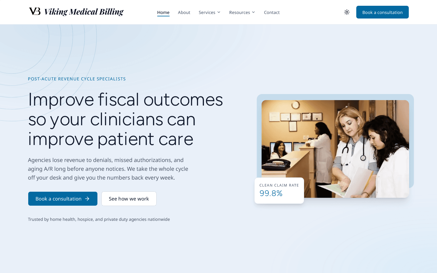 Viking Medical Billing Website project image
